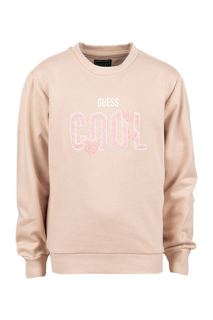 Sweater Guess