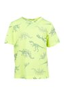 T-shirt met korte mouwen DC Shoes