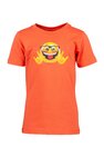 T-shirt met korte mouwen DC Shoes