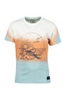 T-shirt met korte mouwen DC Shoes