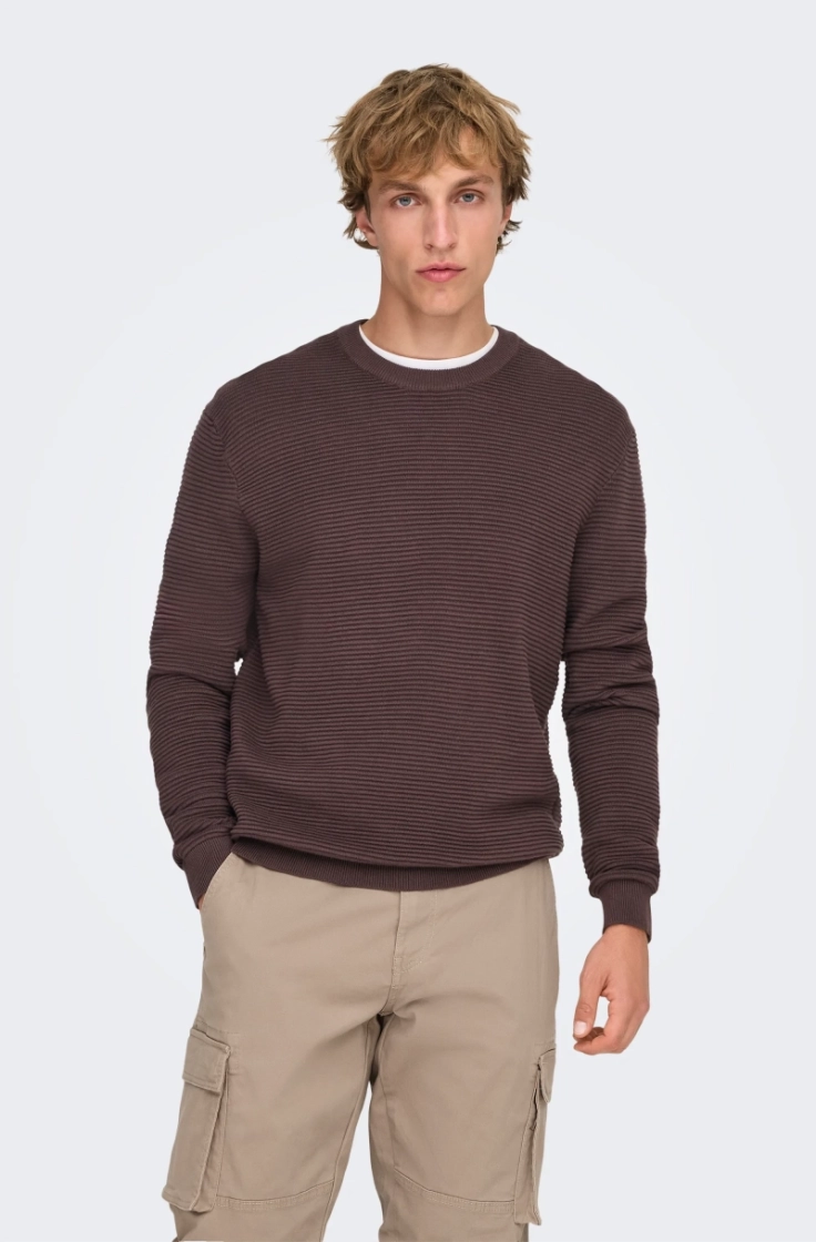 onsron reg ls crew neck knit raisin