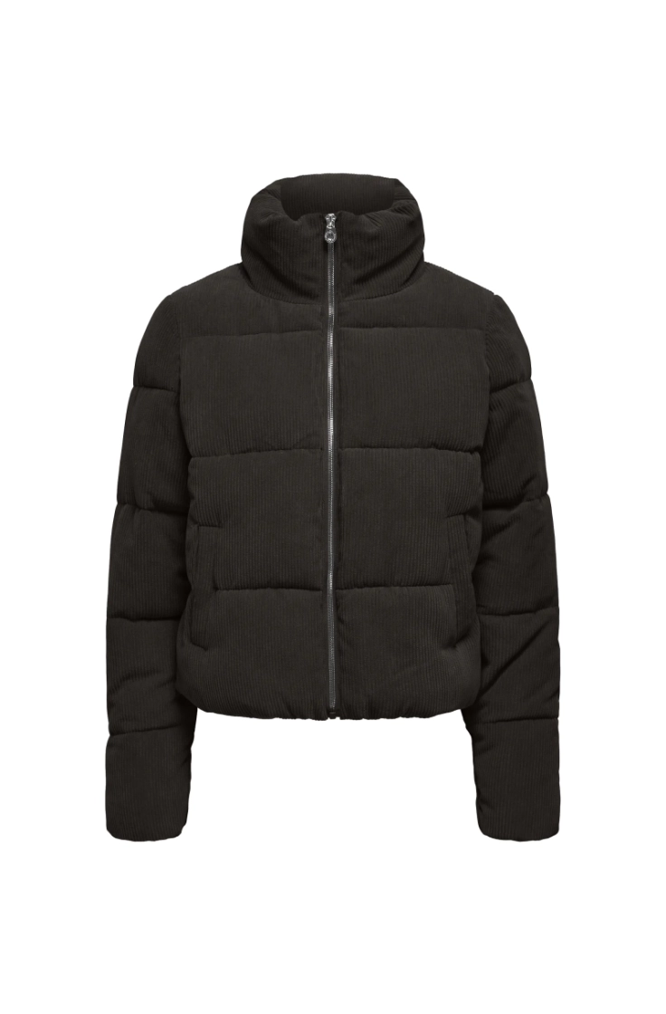 onlnewdolly corduroy puffer ot chocolate torte