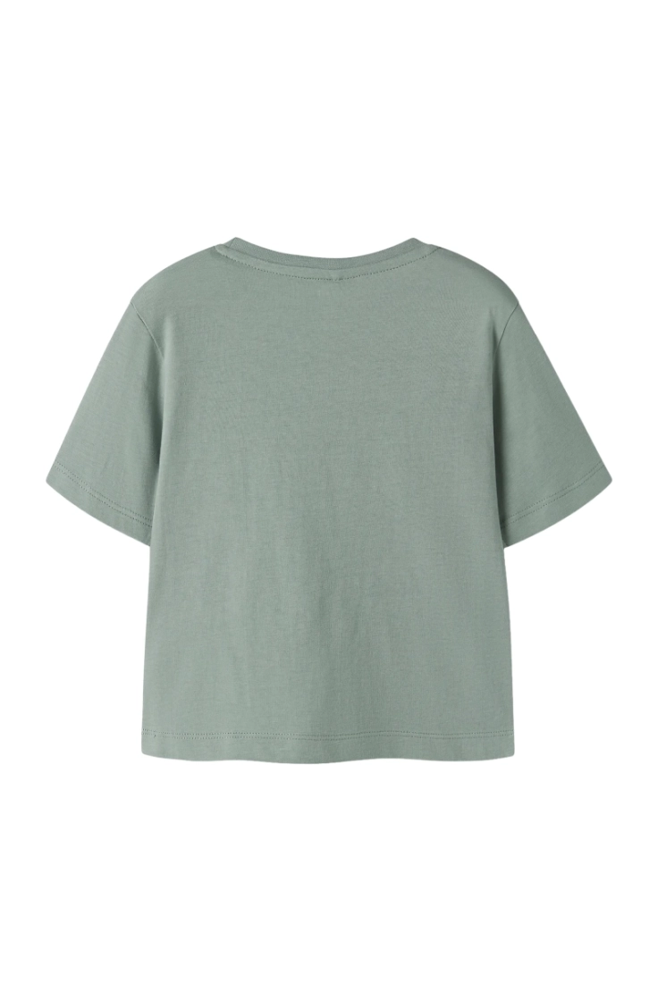 nmfvotea ss nreg top green milieu un