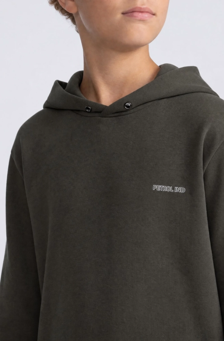  9066 beluga